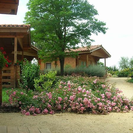 Auberge Du Flambadou Villematier Luaran gambar